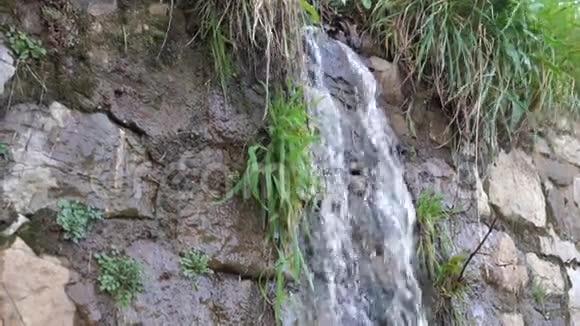 水从带草的岩石悬崖上流下来视频的预览图