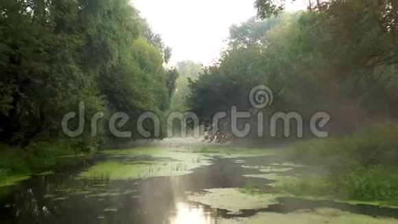 黎明时分河面上有浓雾视频的预览图