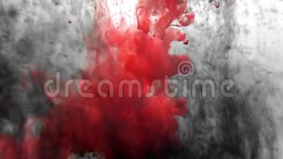 红漆有机流水线4k视频的预览图