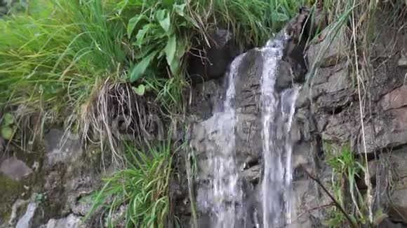溪水清澈见底从悬崖上跌下来沿着长满绿草的岩壁视频的预览图
