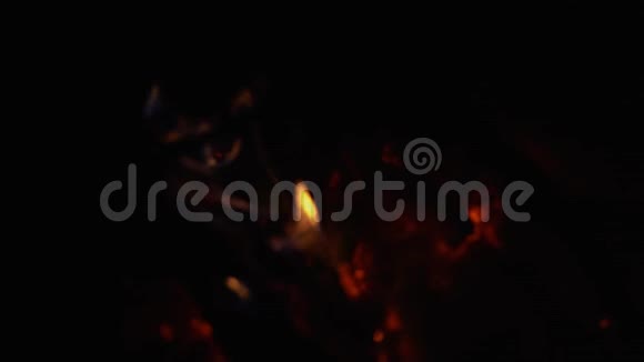 模糊的背景壁炉里燃烧的木头火焰视频的预览图