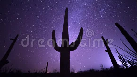 阿斯特罗在亚利桑那州索诺兰沙漠拍摄的仙人掌视频的预览图