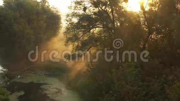 黎明时分河面上有浓雾视频的预览图