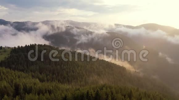 在山上的森林上空俯瞰云层视频的预览图
