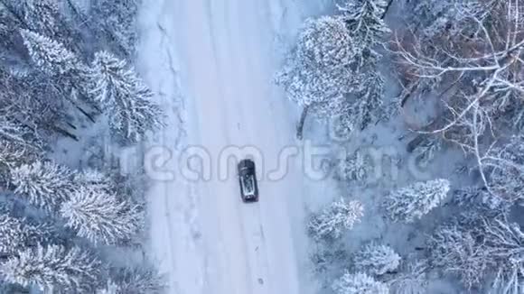 冬季森林道路上的孤独车辆视频的预览图