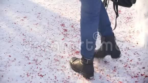 一个女人在城市冬季公园散步雪中的红色浆果山灰山楂慢动作视频的预览图