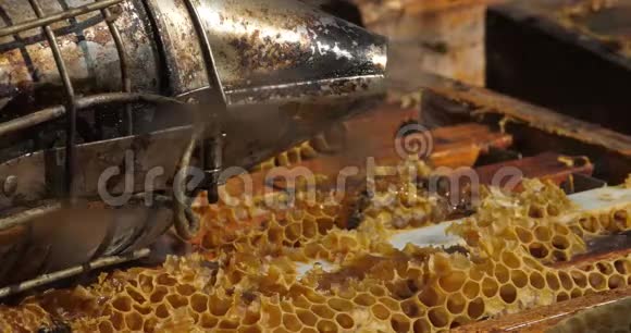 收获蜂蜜养蜂人用烟雾视频的预览图