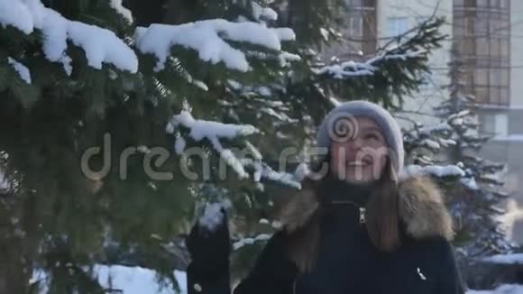 冬天的城市公园里一个可爱的年轻女子的肖像在松枝的背景下颤抖着雪视频的预览图