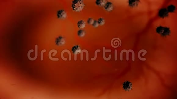 冠状病毒在体内传播视频的预览图