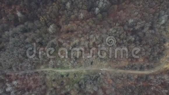 森林道路上方的空中录像视频的预览图