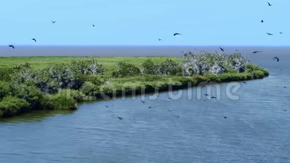 唐河三角洲河水流入大海鸟飞过水面从无人驾驶飞机上射击视频的预览图