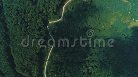 空中无人机观看绿色茂密的大森林看起来像绿色沙漠与云影移动视频的预览图