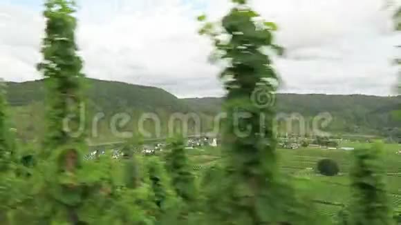 在莱茵兰法尔茨的贝尔斯泰因的莫赛尔河山丘上的葡萄园德国视频的预览图