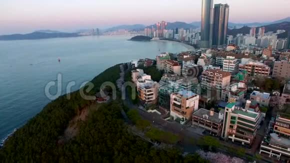 大马吉山樱花空中景观海恩达釜山韩国亚洲视频的预览图