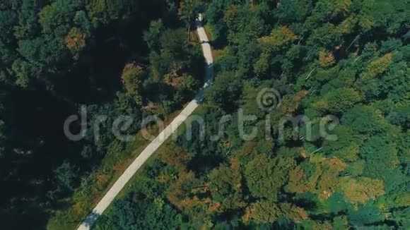 用旋转相机在美丽的秋天彩色森林上进行无人机飞行视频的预览图
