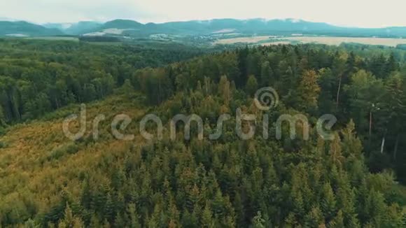 飞越初秋森林的乡间草地上柔和的灯光和背景上的雾中的山视频的预览图