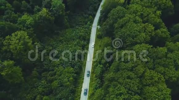 春天清新绿色的林地环境中鸟瞰道路视频的预览图