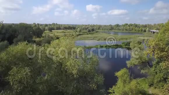 前往德斯纳河和森林的夏季空中景色视频的预览图