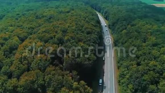 相机移动跟踪和跟踪汽车因为它在道路上的野生林地视频的预览图