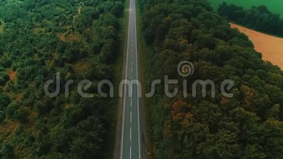 空中跟随视频蜿蜒的道路通过森林与绿色树梢视频的预览图