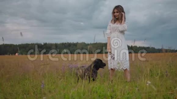 浪漫温柔的女人带着狗在农村视频的预览图