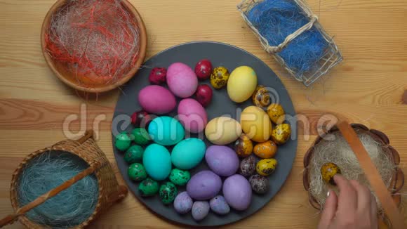 在灰色盘子上放置多种颜色的复活节彩蛋的女性手上的俯视图视频的预览图