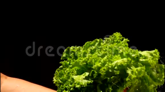 在黑色背景上用手拍打一束湿绿色沙拉视频的预览图