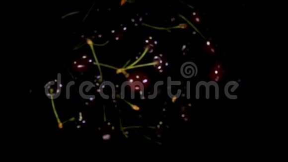 黑黑的樱桃在黑色的背景上反弹视频的预览图