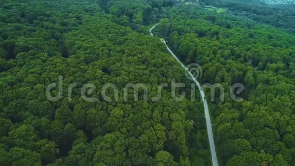 令人叹为观止的鸟瞰热带绿色茂盛的雨林林地地形中间有道路视频的预览图