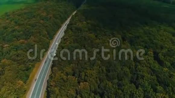 无人机在古老的森林道路上飞行汽车在移动茂密的树林的绿树在两边生长视频的预览图
