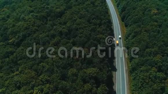 空中跟随视频汽车沿着蜿蜒的道路行驶穿过森林与绿色树梢视频的预览图