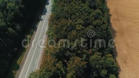 汽车在绿色茂密的森林景观中沿着灰色的道路行驶视频的预览图
