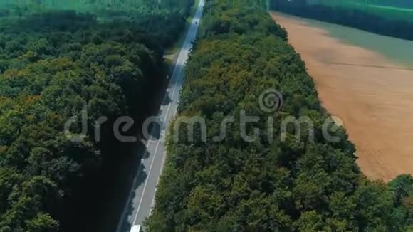 相机移动跟踪和跟踪汽车因为它在道路上的野生林地视频的预览图