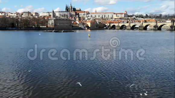 布拉格的查尔斯桥和城堡视野开阔海鸥飞翔捷克的象征视频的预览图