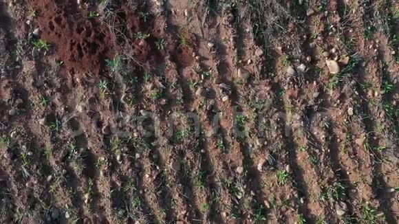 荒芜的陆地空中镜头视频的预览图
