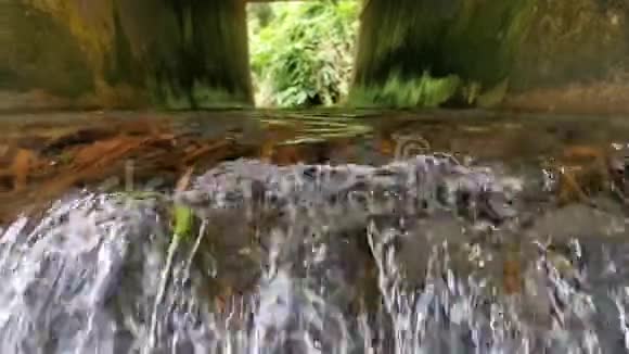 一个年轻的旅行者走在清澈的小溪里纯净清新透明的山河水自然流动电流视频的预览图