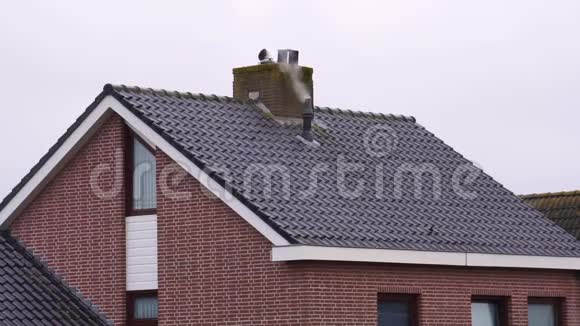 在屋顶上吸烟烟囱荷兰建筑为房子供暖视频的预览图
