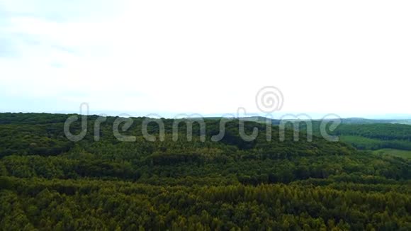 阳光明媚的夏日空中无人驾驶飞机飞过森林覆盖的山坡视频的预览图