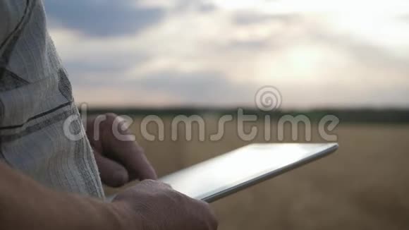 农学家成熟的人在农业农场使用平板电脑在田里用智能平板电脑关闭农民视频的预览图