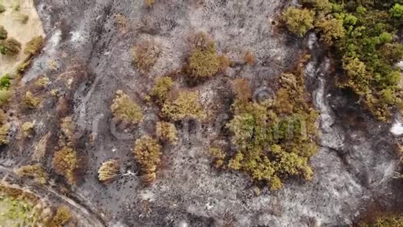 空中飞火燃烧森林森林砍伐问题Cilento4k视频的预览图