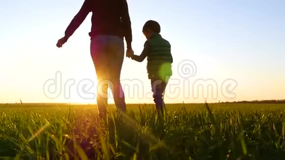 一位年轻的母亲牵着儿子手在美丽的夕阳下穿过绿草视频的预览图