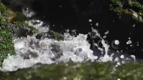 野生河流蒙彼利埃奥西塔尼法国视频的预览图