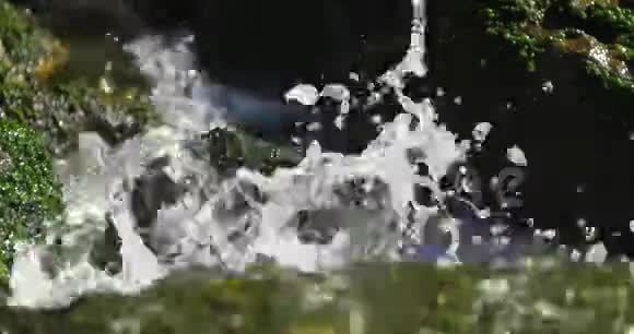 野生河流蒙彼利埃奥西塔尼法国视频的预览图