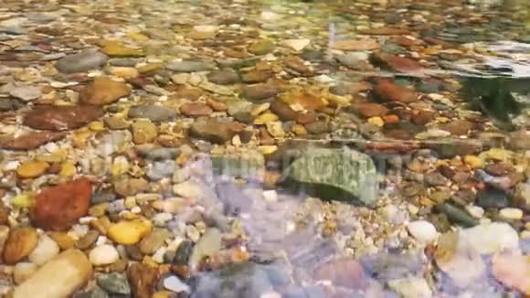 清澈见底的浅河中的森林河流石块在纯净的透明的山河水中靠近石头视频的预览图