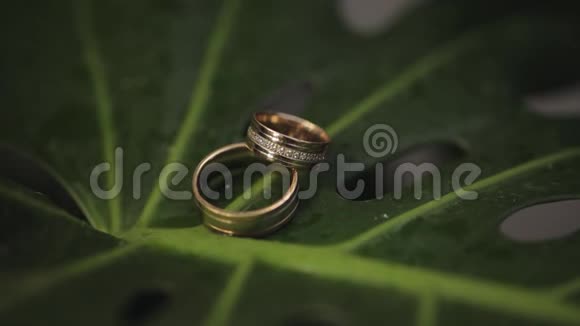 雨后婚礼在一片绿色的湿叶上响起婚礼细节和配饰视频的预览图