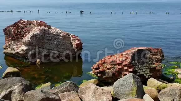 岩石海岸的海水和砖石废墟的水海鸥坐在一排树桩上视频的预览图