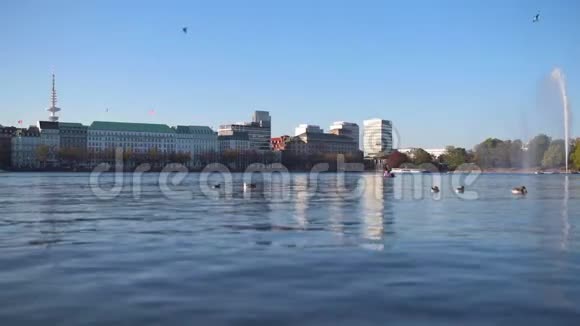 德国汉堡阿尔斯特湖在阳光明媚的夏日与海滨建筑和蓝天对峙视频的预览图