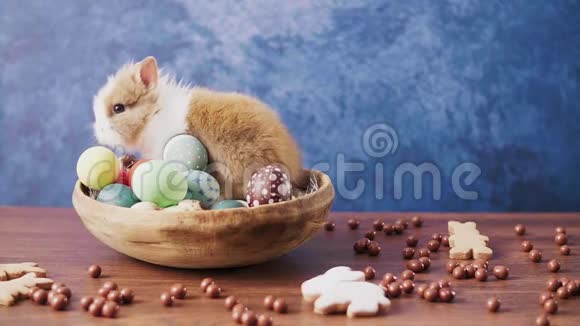 可爱的复活节兔子在篮子里五颜六色的鸡蛋和糖果在木桌上复活节节日装饰品复活节概念背景视频的预览图