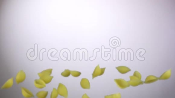 帕斯塔孔奇利里盖特在白色背景下飞行视频的预览图