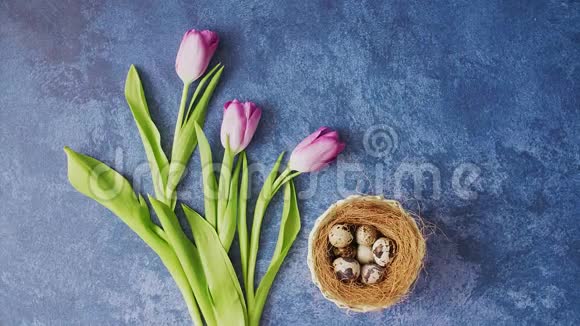 手拿起篮子与复活节彩蛋旁边的郁金香深蓝背景复活节节日装饰品复活节概念视频的预览图
